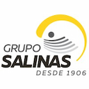 Grupo Salinas