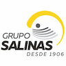 Grupo Salinas