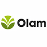 Olam