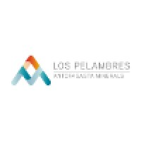 Minera Los Pelambres Logo