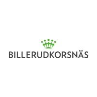 Billerud Logo