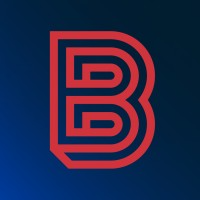 Big Visual Group Logo