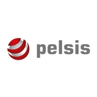 Pelsis Group Logo